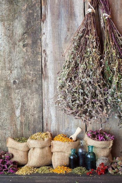 Bolsas De Hierbas Medicinales Y Botellas De Infusión Medicina Alternativa A Base De Hierbas