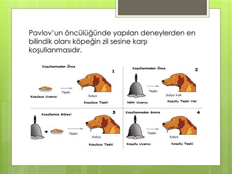 Ppt Klas K Tepk Sel Ko Ullanma Powerpoint Presentation Free