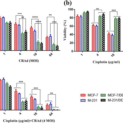 Tumor Cell Viability Analysis Via Mtt Assay A Enhanced Sensitivity