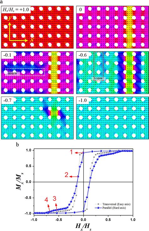 A Simulated Vector Color Maps Of Different Stages Of The Download Scientific Diagram