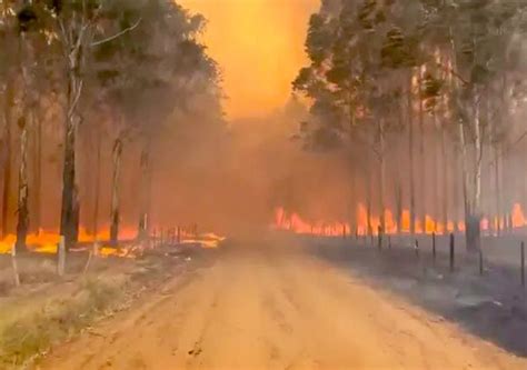 Dramáticos Incendios En Corrientes Arrasaron Ya El 6 Del Territorio