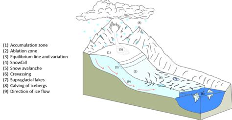 glaciers  ice caps