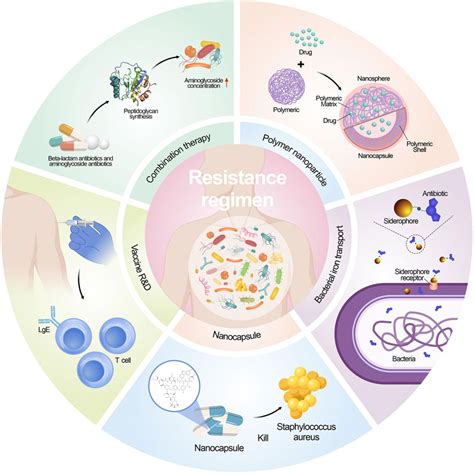 Frontiers Combating Antimicrobial Resistance The Silent War