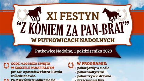 Z Koniem Za Pan Brat Zaproszenie Na Festyn W Gminie Drohiczyn