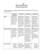 Cj Module Three Assignment Template Docx Cj Module Three