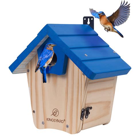 Bird House Uses At Dylan Roberts Blog