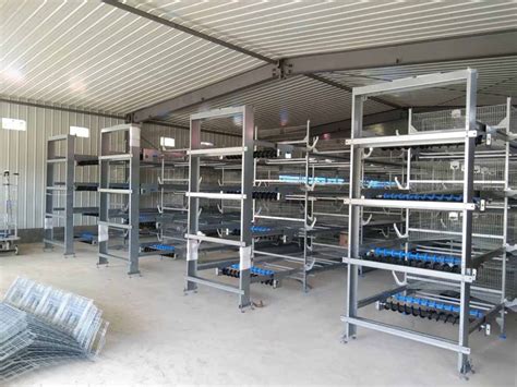 H Type Battery Cage Project Hightop Poultry Equipment