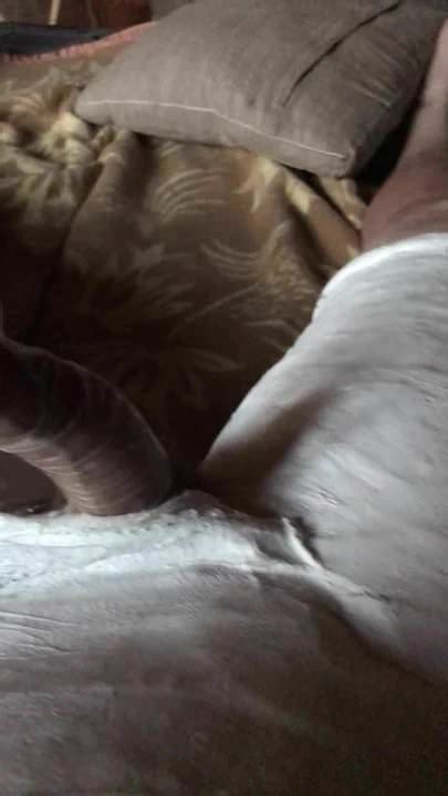 Cum In Bodycast Gay Man Man Porn Feat Gerycast XHamster