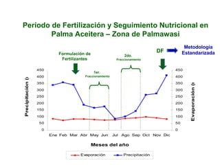 Nutricion Y Fertilizacion Del Cultivo De Palma Aceitera Ppt