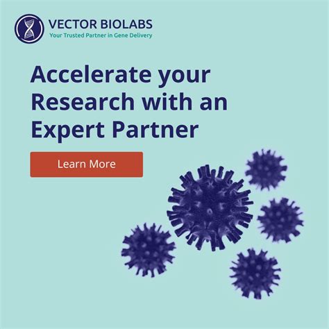 Vector Biolabs On Linkedin Welcome To Vector Biolabs Your Trusted