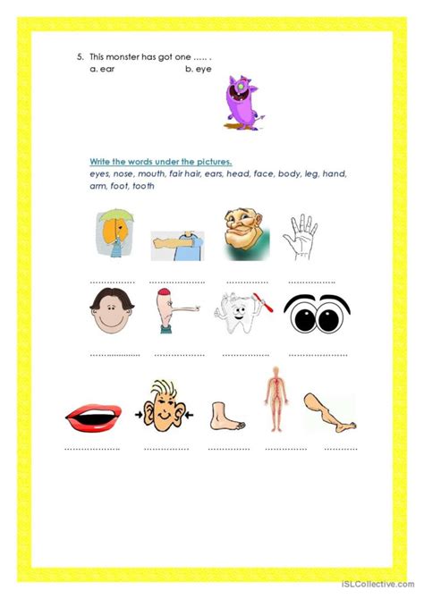 To Be Have Got Body Parts English Esl Worksheets Pdf And Doc