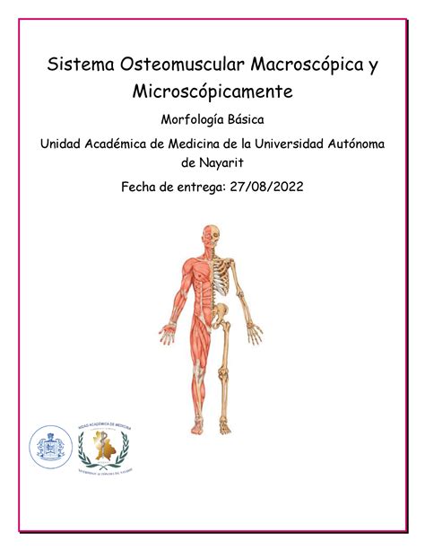 Sistema Osteomuscular Macroscópica Y Microscópicamente Sistema