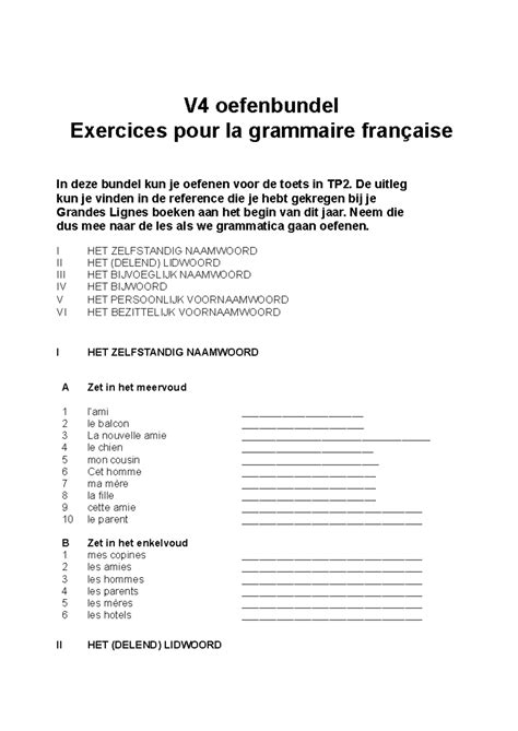 Grammatica Oefeningen V V Oefenbundel Exercices Pour La Grammaire