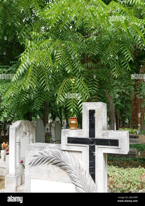 Cross on the tombstone in the public cemetery Stock Photo - Alamy