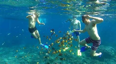 Nusa Dua Snorkeling Tour | The Exciting Bali Snorkeling 2022