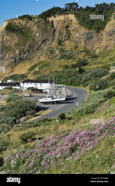 Wildflowers Bloom Above The Small Harbor At Port Orford Oregon