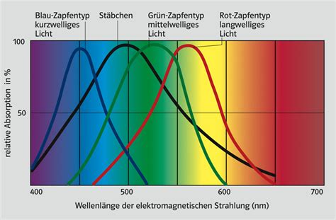 Farbensehen Ernst Klett Verlag Gmbh Stuttgart