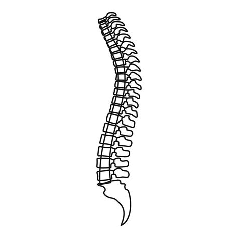 Spine Icon Outline Style Vector Art At Vecteezy