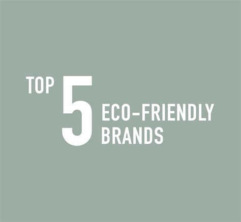 top  eco friendly brands