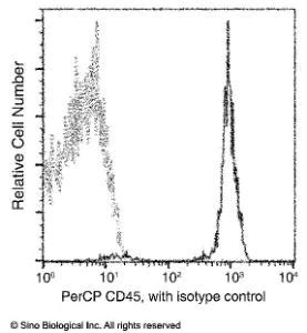 Anti PTPRC Mouse Monoclonal Antibody Clone 05 PerCP Peridinin