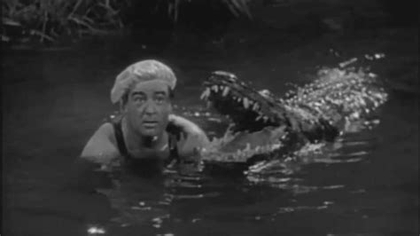 Abbott Und Costello Auf Safari StreamPicker