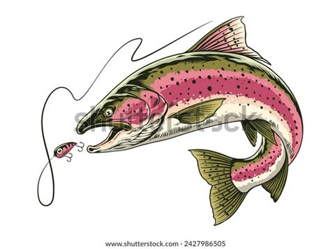 Rainbow Trout Fish Jumping Out Stock Vector (Royalty Free) 2427986505 | Shutterstock