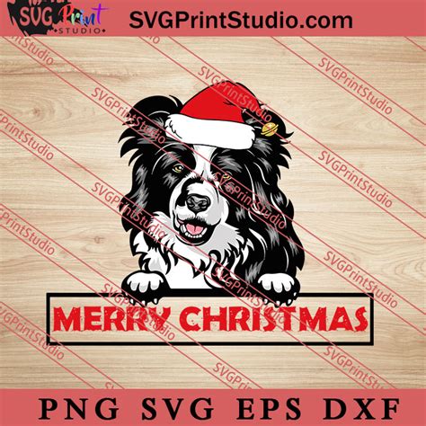 Animal Dog Border Collie Merry Christmas Svg Merry Xmas Christmas