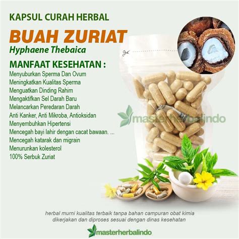 Jual Kapsul Herbal Zuriat Program Hamil Anti Kanker Anti Mikroba