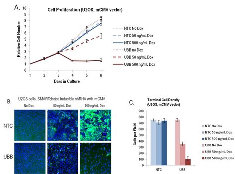 SMARTvector Inducible Lentiviral ShRNA