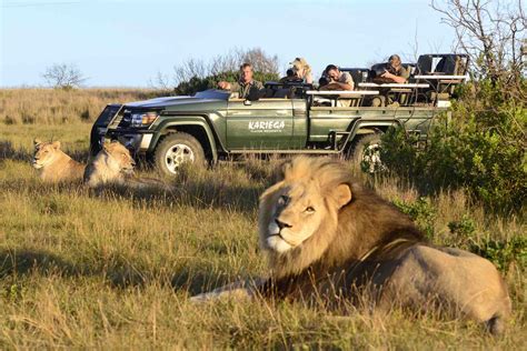 Kariega Game Reserve We Are Africa