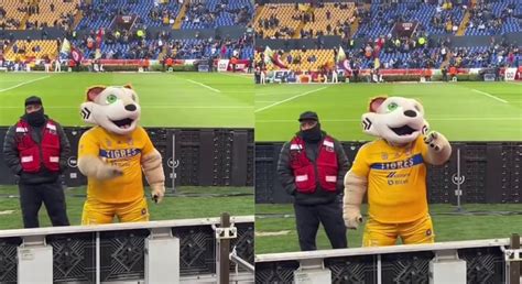 El Polémico Gesto De La Mascota De Tigres Que Investigará El Club Infobae