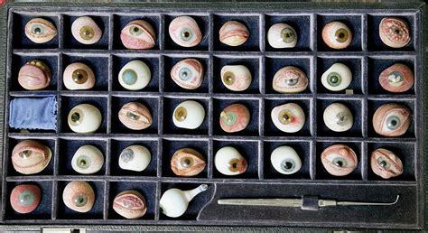 Set Of Glass Eyeballs Photograph By Mark Thomas Science Photo Library Fine Art America