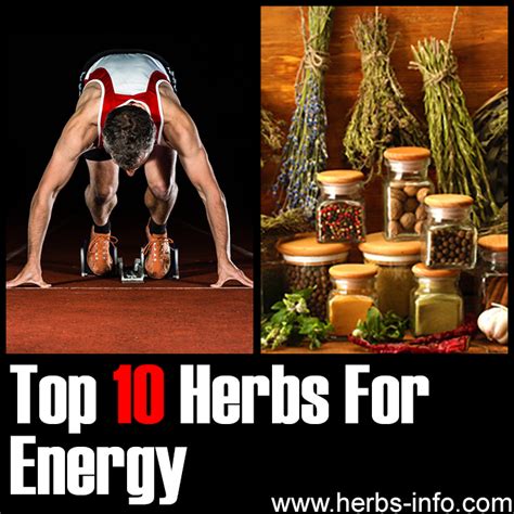 10 Herbs For Energy - Herbs Health & Happiness