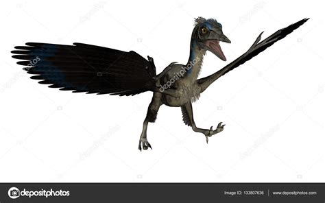 Archaeopteryx bird dinosaur landing - 3D render Stock Photo by ...