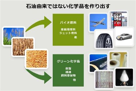 双日、バイオマスを原料とする非石油由来化学品の開発・事業化を手がけるgreen Earth Institute社に出資参画｜双日株式会社の