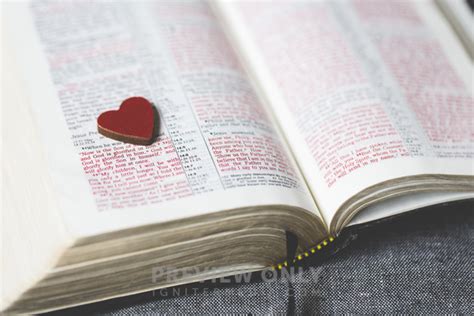 Heart Shape On The Pages Of A Bible Stock Photos Neely Wang