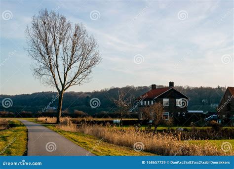 Road Through Dutch Polder Landscape Stock Image Image Of Green