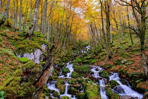 Fotos Paisajes únicos que podrás ver en Asturias este otoño El Comercio