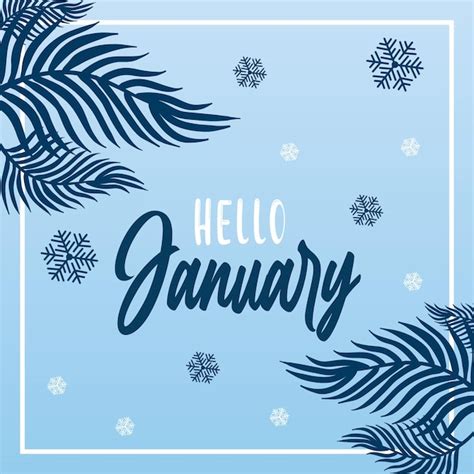 Premium Vector Hello January Vector For Greeting Banner Postcard