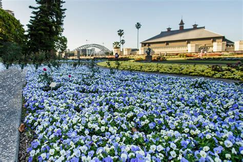 10 Best Parks In Sydney Explore Sydneys Most Beautiful Outdoor Spaces Go Guides