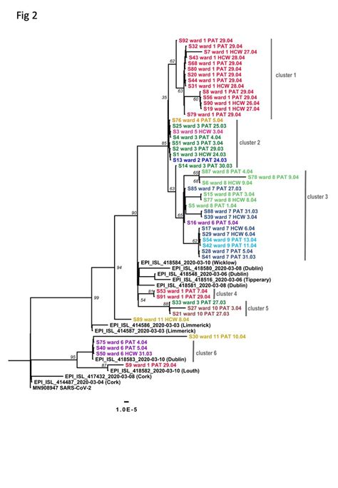 Maximum Likelihood Phylogenetic Tree Including Other Irish Sars Cov