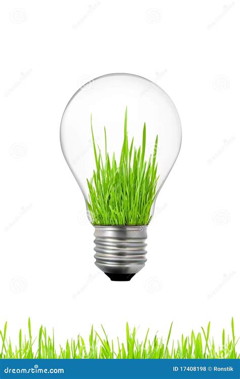 Green Energy Concept Light Bulb With Grass Inside Stock Photo Image