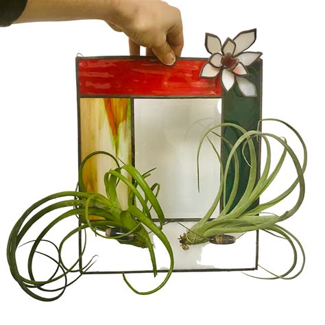 4 Stained Glass Deluxe Air Plant Holder With Air Plants ‣ Plant Van