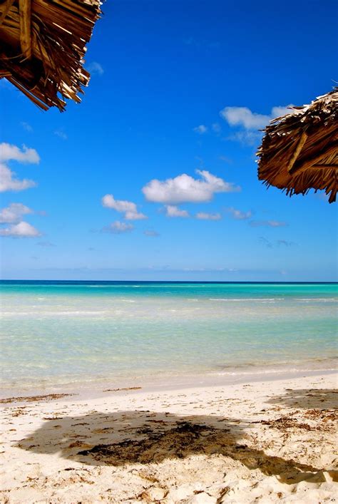 Cuba - Cayo coco. Pure paradise. | Fly to cuba, Beautiful beaches, Cuba culture