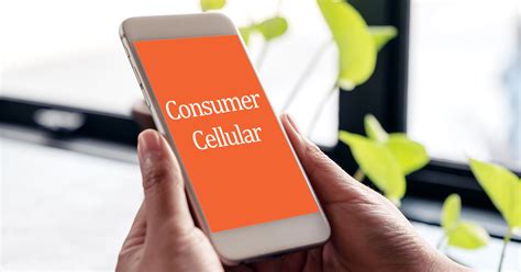 Consumer Cellular Reviews 2024 Complaints Tobi Aeriela