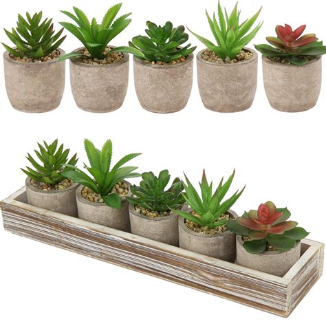 Buy Set Of Mini Succulents Artificial Succulents In Pulp Pots Small