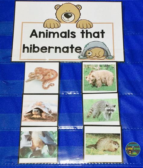 Hibernation Activities Craft Games Songs And Books Lessons For