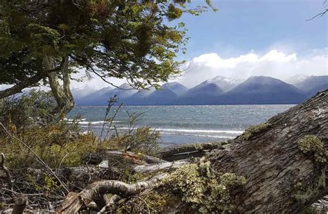 Un enero positivo aumentó la llegada de turistas y de cruceros a Ushuaia