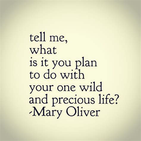 What Is It You Plan To Do With Your One Wild And Precious Life Mary