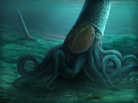 Endoceras Giganteum A 9 Meter Long Early Cephalopod That Lived During